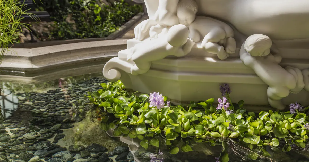 Видео карти за компютри и лаптопи Ardesbg